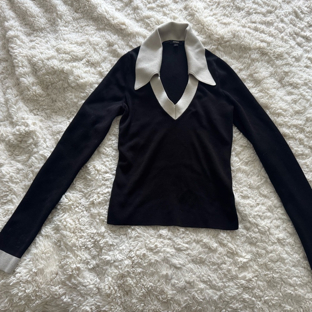 Express Black and White V-Neck Sweater